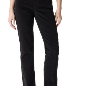 LOFT Olive Size 10 Corduroy Pants